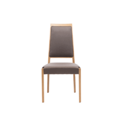 Horn Chair 250221
