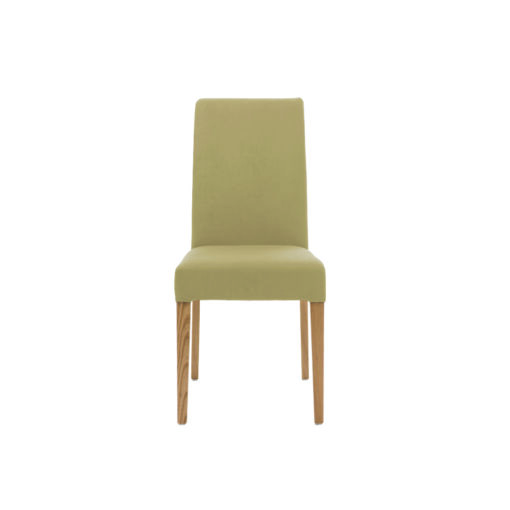 เก้าอี้ Sims Chair